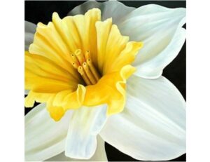 Картина в Калининграде