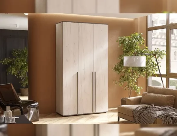 Шкаф в Калининграде